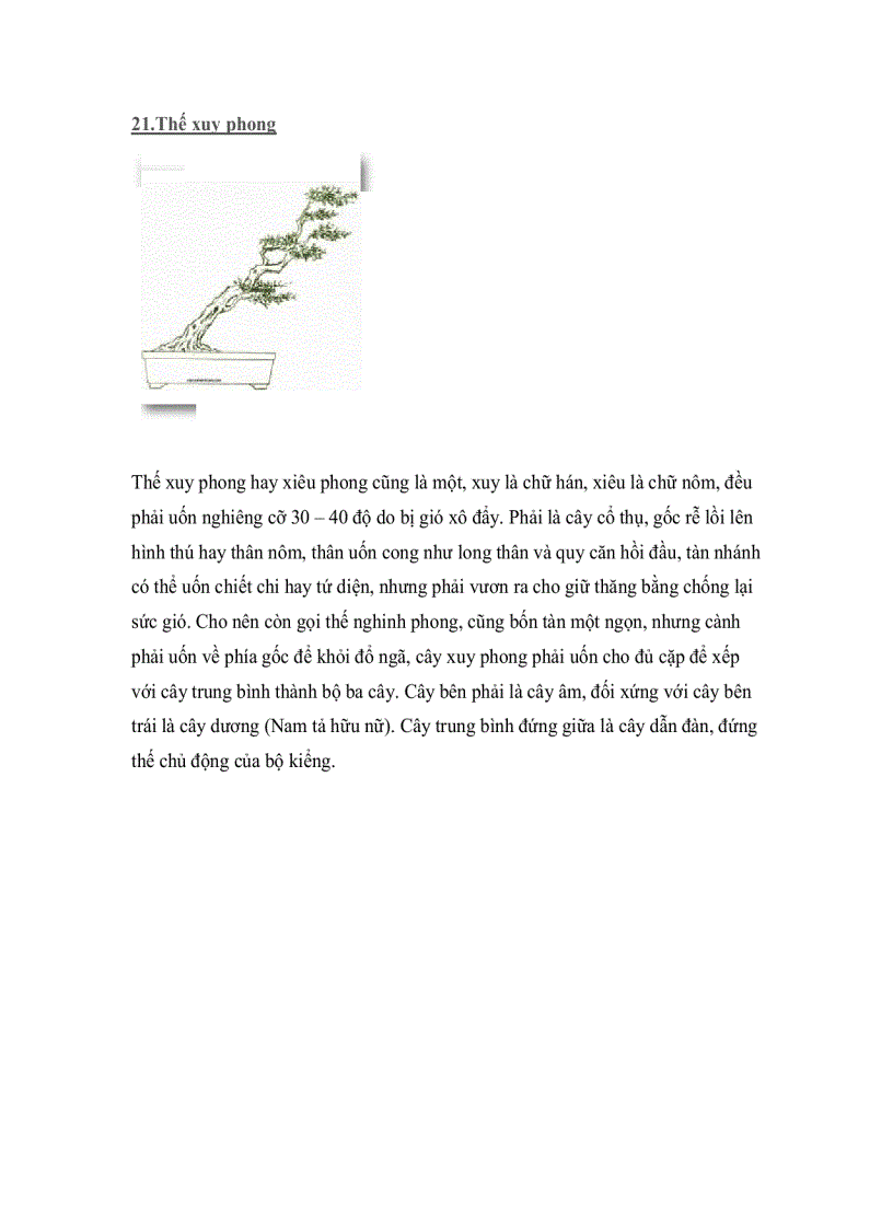 image for page Cây thế