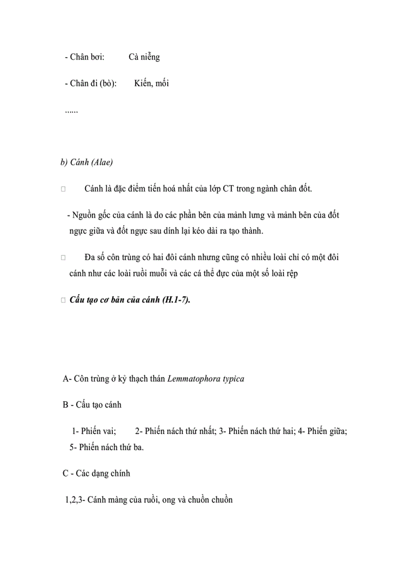 image for page Đặc điểm hình thái côn trùng