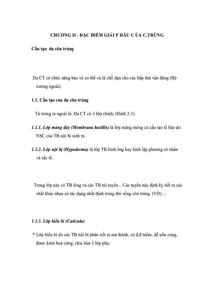 image for page Đặc điểm giải phẫu của c trùng