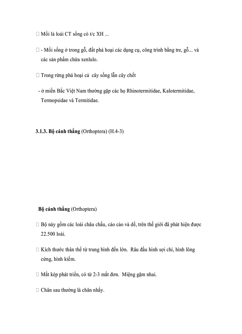 image for page Đặc điểm một số bộ côn trùng có liên quan đến rừng