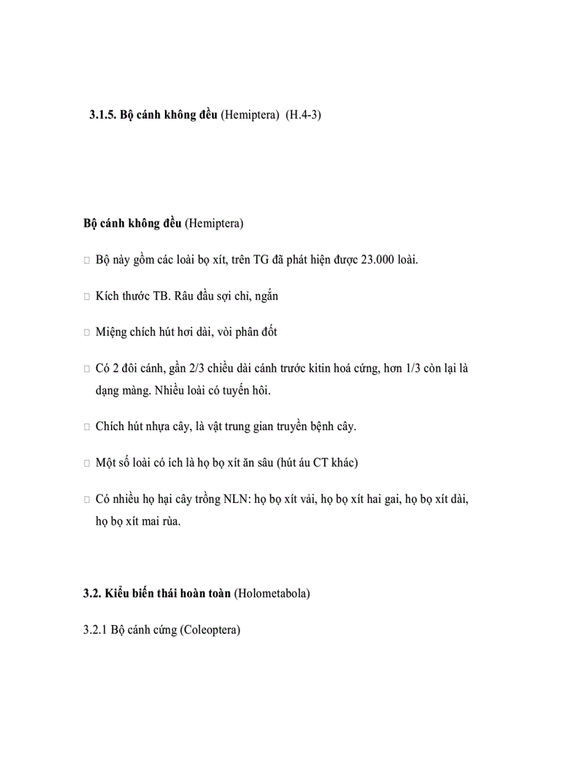 image for page Đặc điểm một số bộ côn trùng có liên quan đến rừng