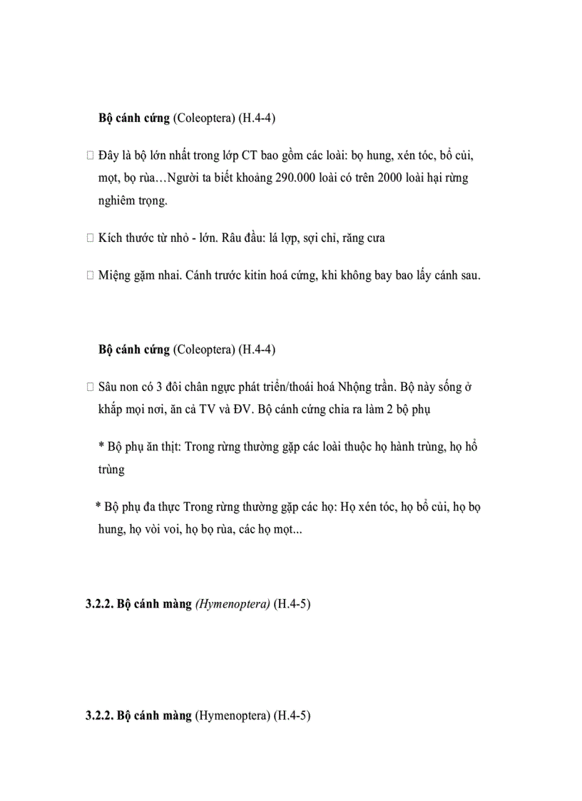 image for page Đặc điểm một số bộ côn trùng có liên quan đến rừng