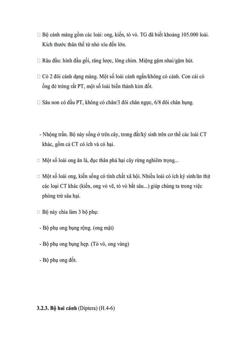 image for page Đặc điểm một số bộ côn trùng có liên quan đến rừng