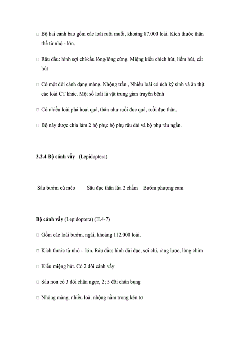 image for page Đặc điểm một số bộ côn trùng có liên quan đến rừng