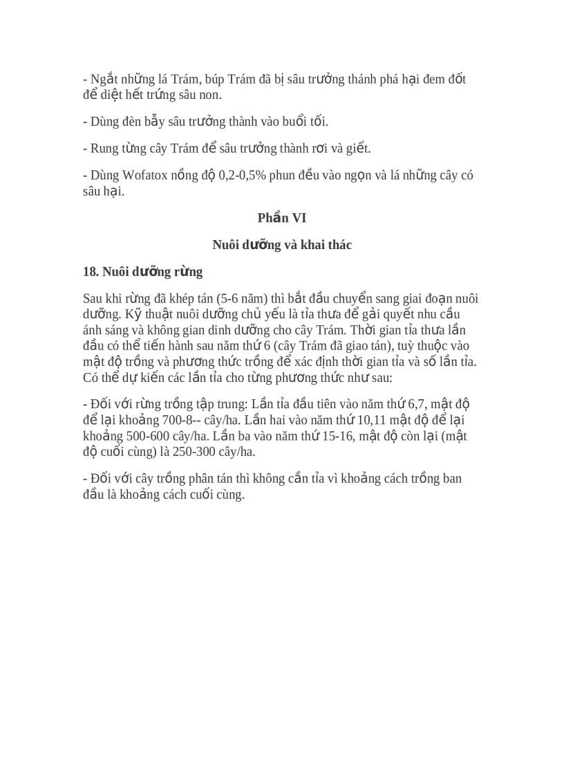 image for page Hướng dẫn kỹ thuật trồng cây trám trắng