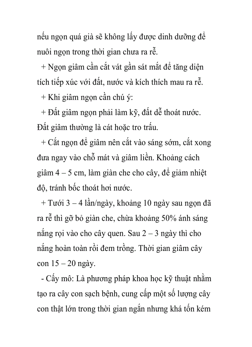 image for page Phương pháp nhân giống hoa cúc