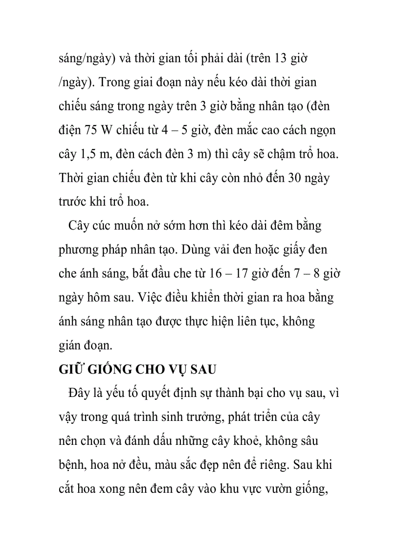image for page Phương pháp nhân giống hoa cúc