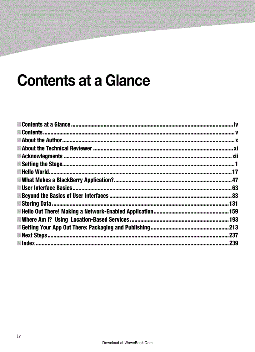 image for page Beginning BlackBerry Development