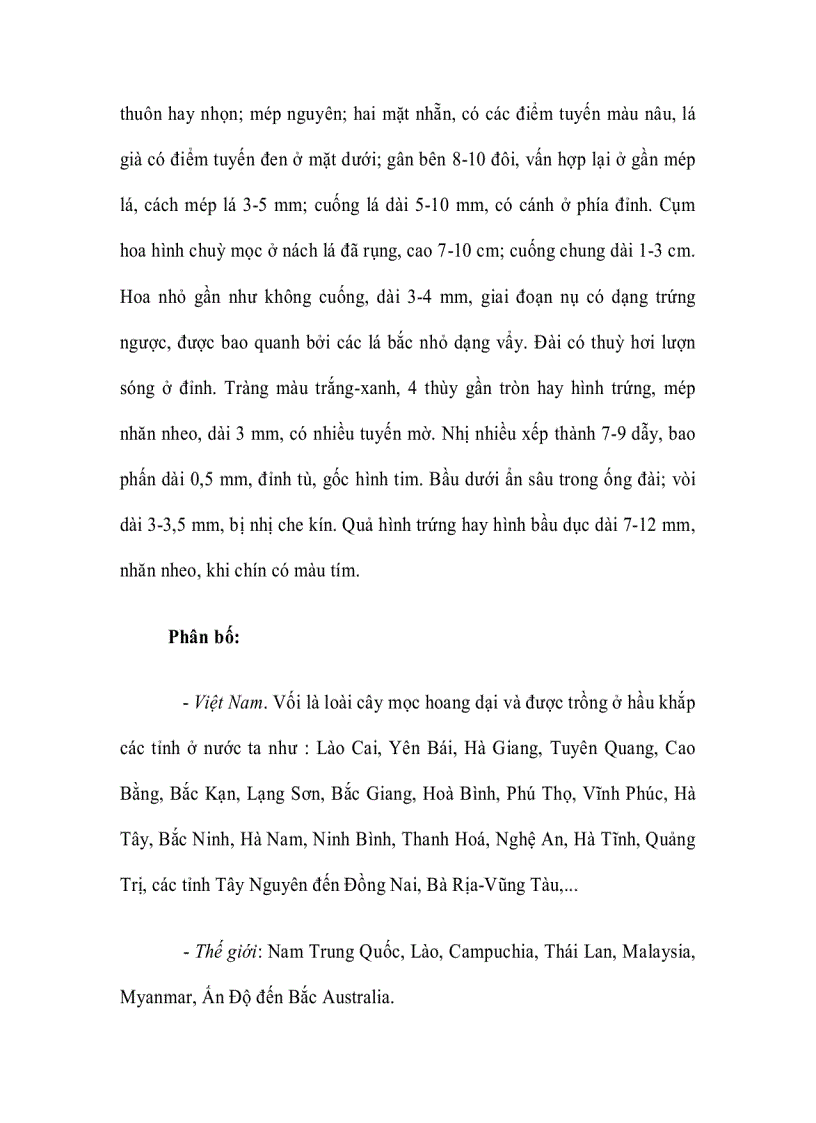 image for page Cây Vối