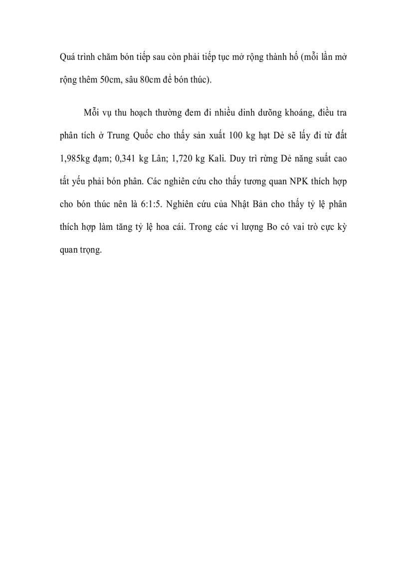 image for page Cây Dẻ ghép