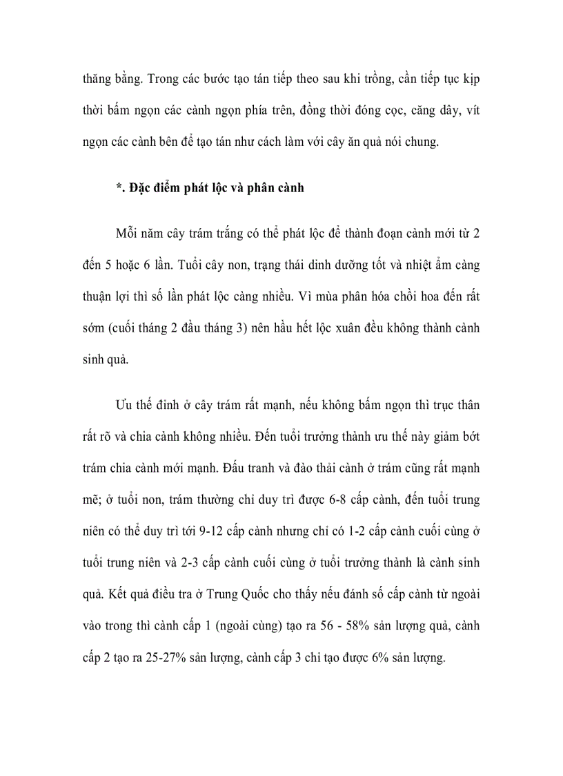 image for page Cây Trám ghép Vỏ Vàng