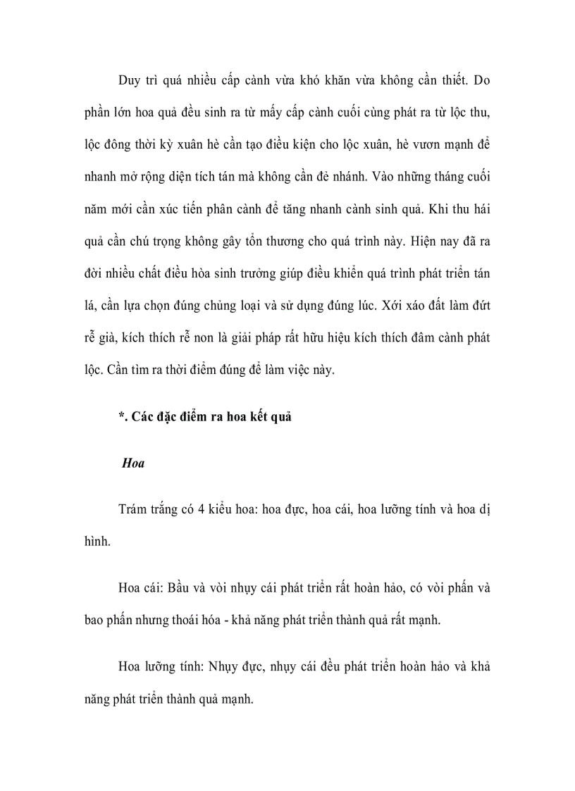 image for page Cây Trám ghép Vỏ Vàng