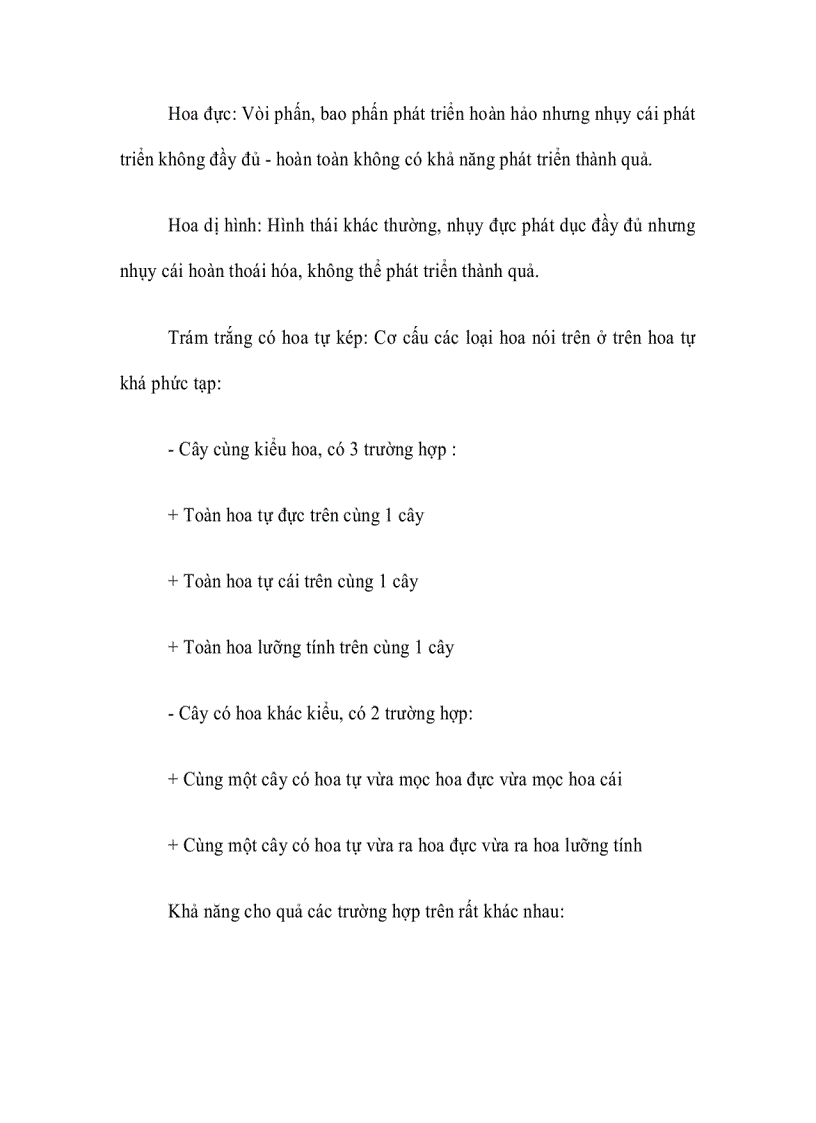 image for page Cây Trám ghép Vỏ Vàng