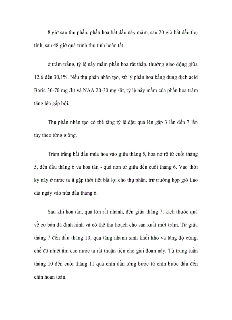 image for page Cây Trám ghép Vỏ Vàng