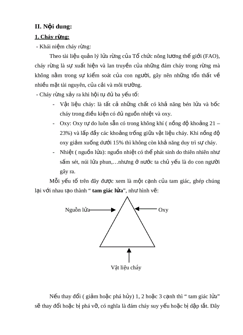 image for page Tìm hiểu những kiến thức cơ bản về cháy rừng