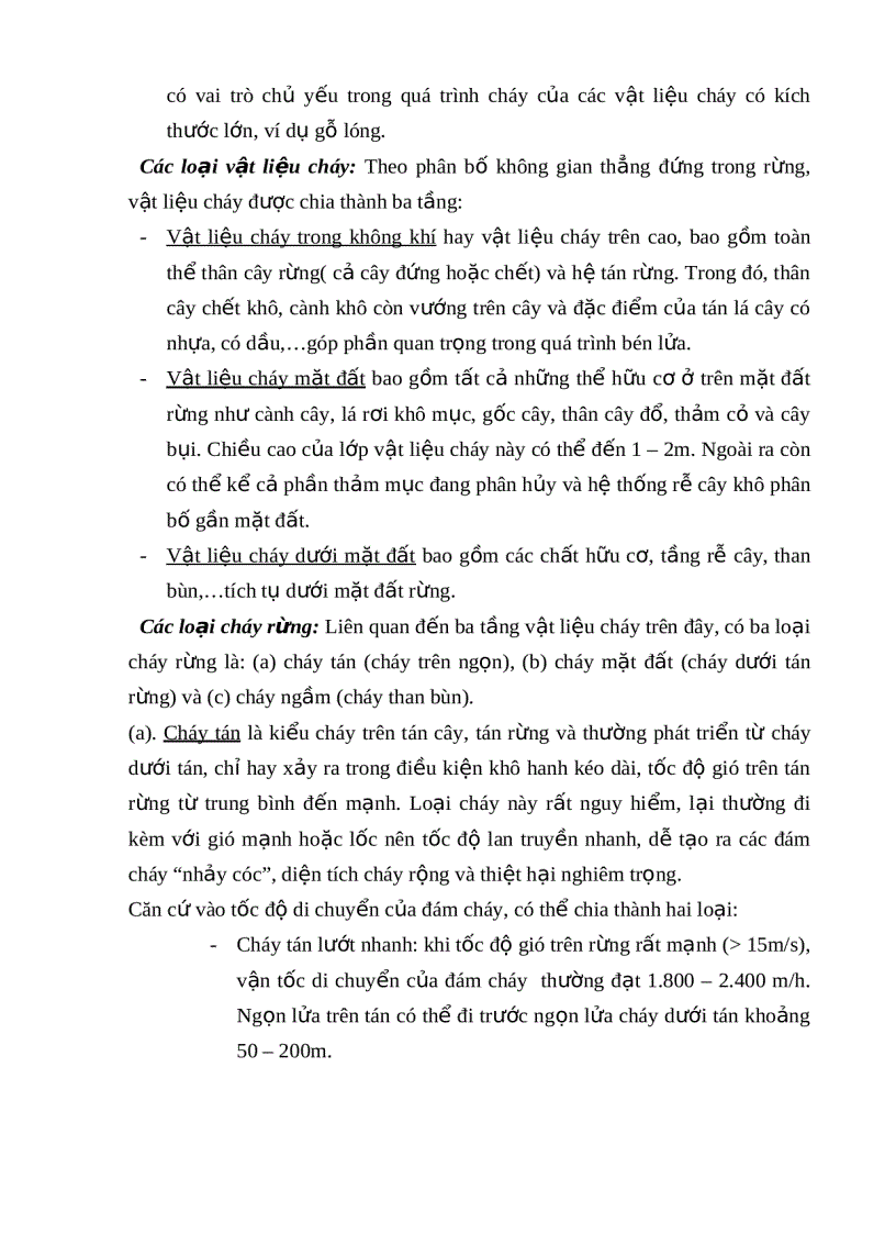 image for page Tìm hiểu những kiến thức cơ bản về cháy rừng