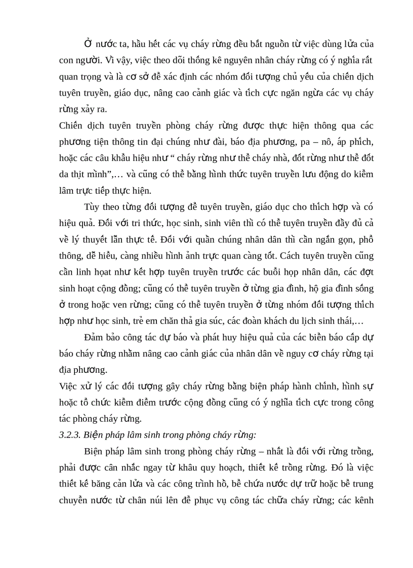 image for page Tìm hiểu những kiến thức cơ bản về cháy rừng