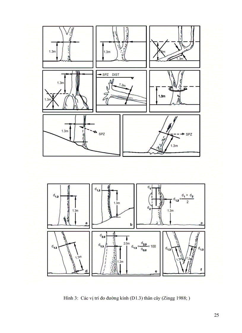 image for page Đo Đếm Cây Riêng Lẻ