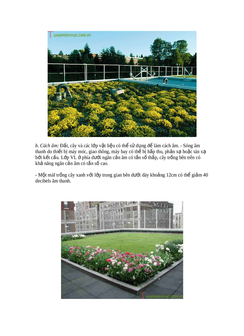 image for page Trồng cây trên mái nhà