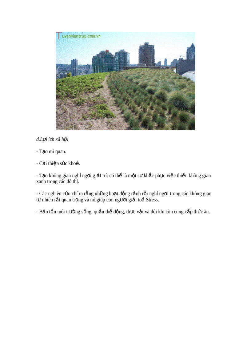 image for page Trồng cây trên mái nhà