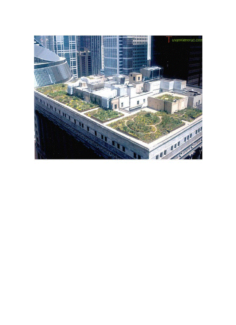 image for page Trồng cây trên mái nhà