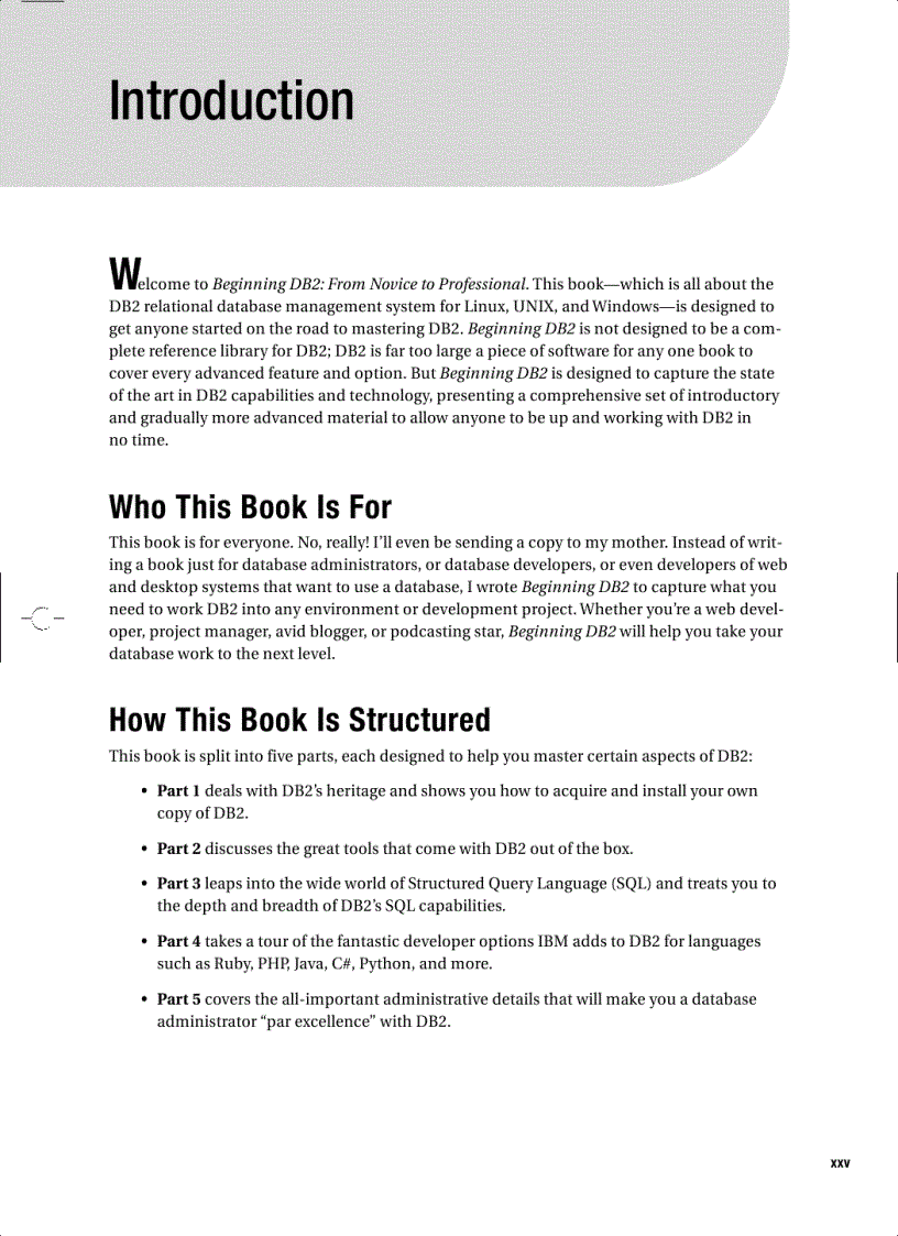 image for page Beginning DB2 From Novice to Professional