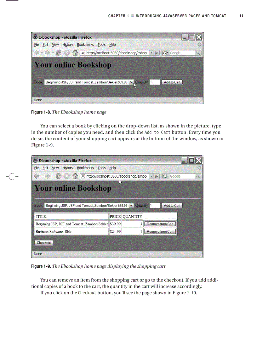 image for page Beginning JSP JSF and Tomcat Web Development From Novice to Professional