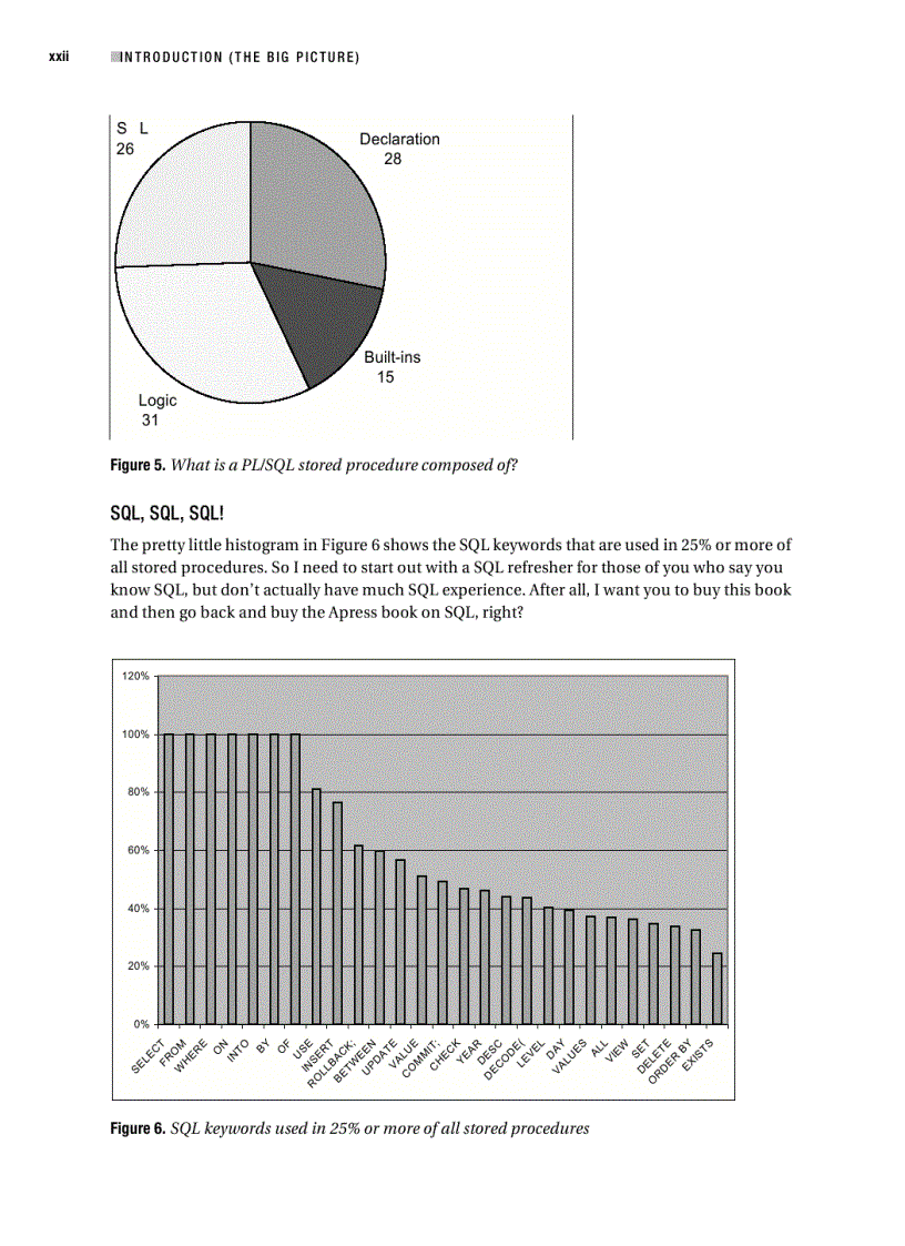 image for page Beginning PL SQL From Novice to Professional