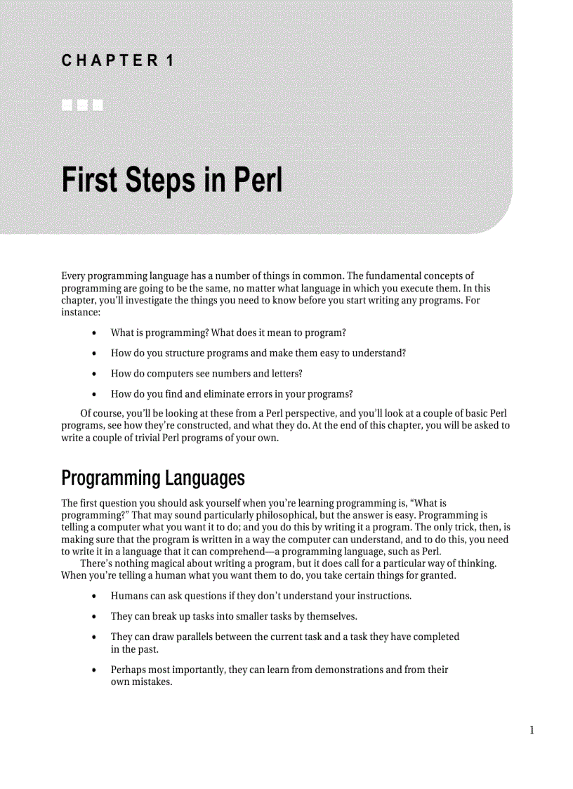 image for page Beginning Perl