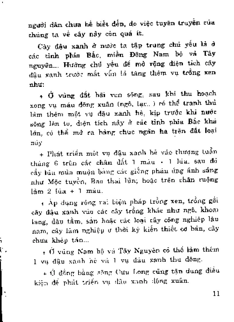 image for page Cây đậu xanh