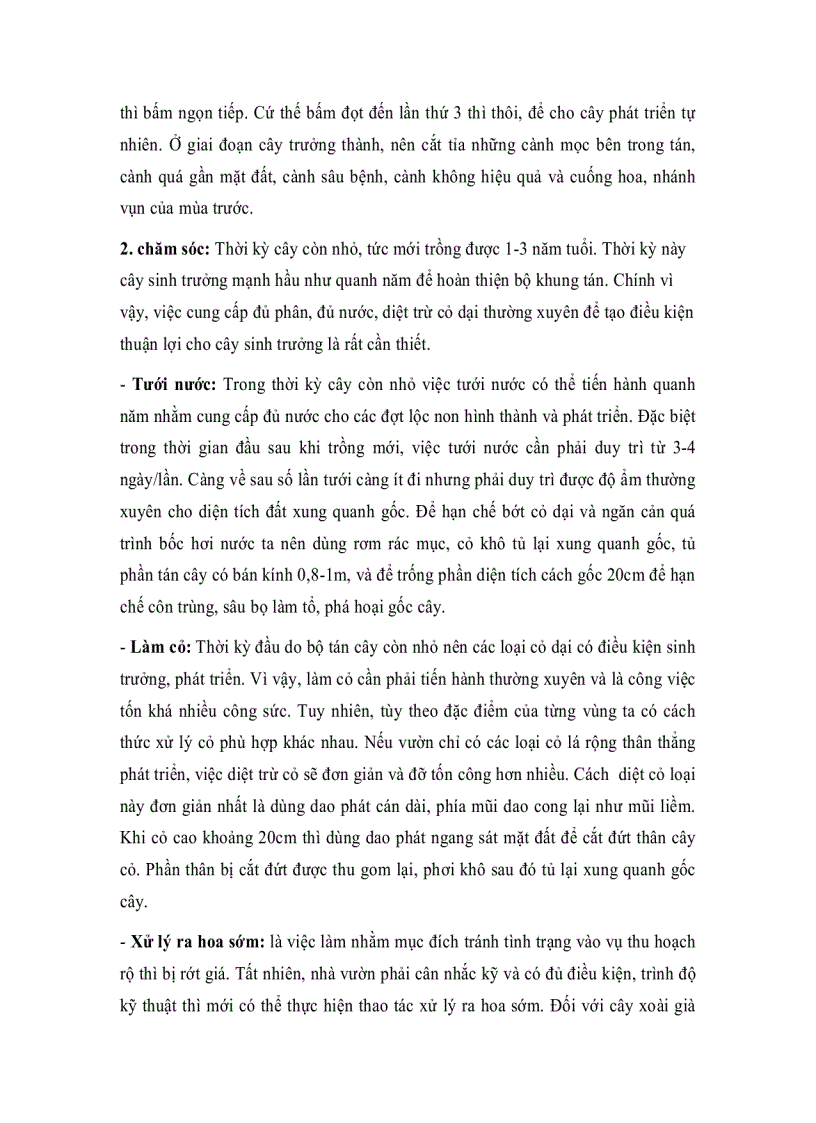 image for page Hướng Dẫn Kỹ Thuật Trồng Xoài