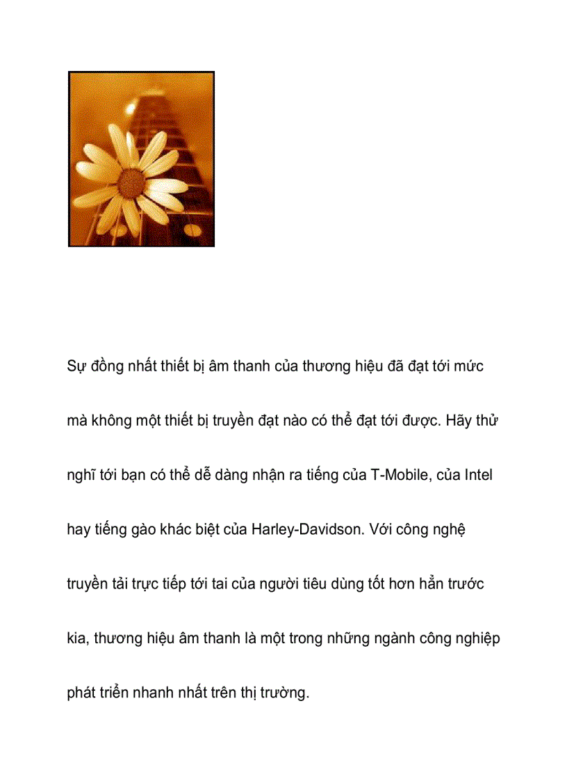 image for page Hãy chọn bản nhạc riêng cho thương hiệu