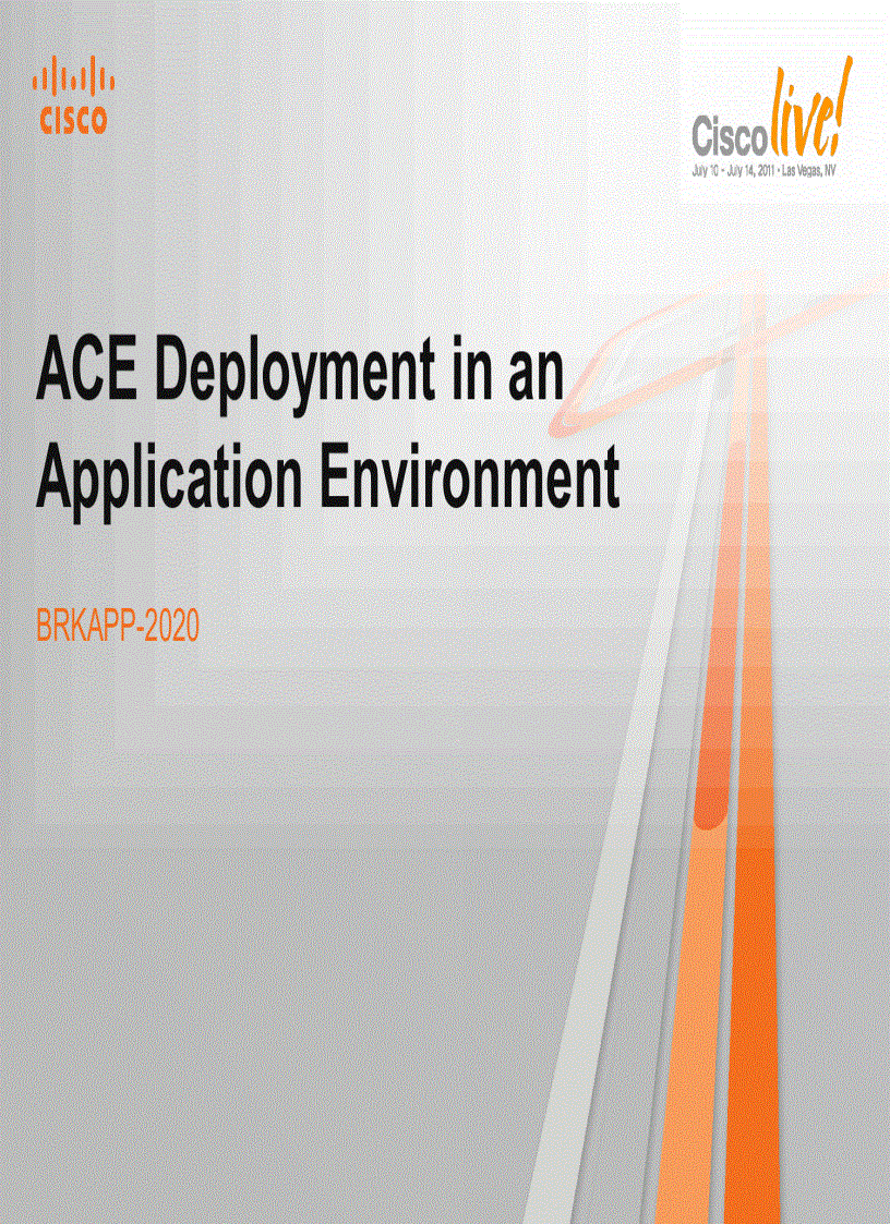 ACE Deployment in an Application Environment