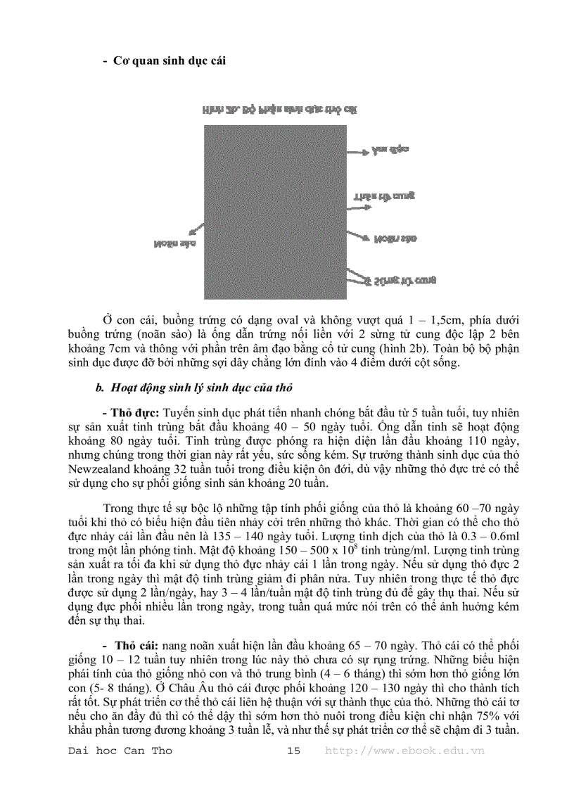 image for page Giáo trình chăn nuôi thỏ 1