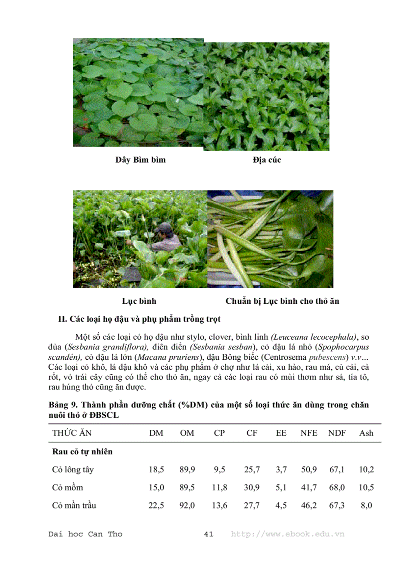 image for page Dinh dưỡng và thức ăn của thỏ