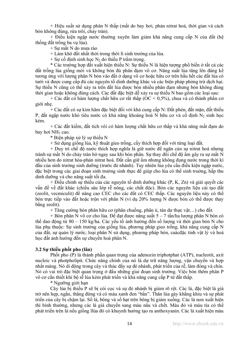 image for page Các chất dinh dưỡng trong đất lúa nước