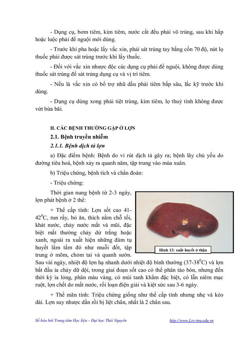 image for page Vệ sinh thú y và phòng bệnh trong chăn nuôi lợn