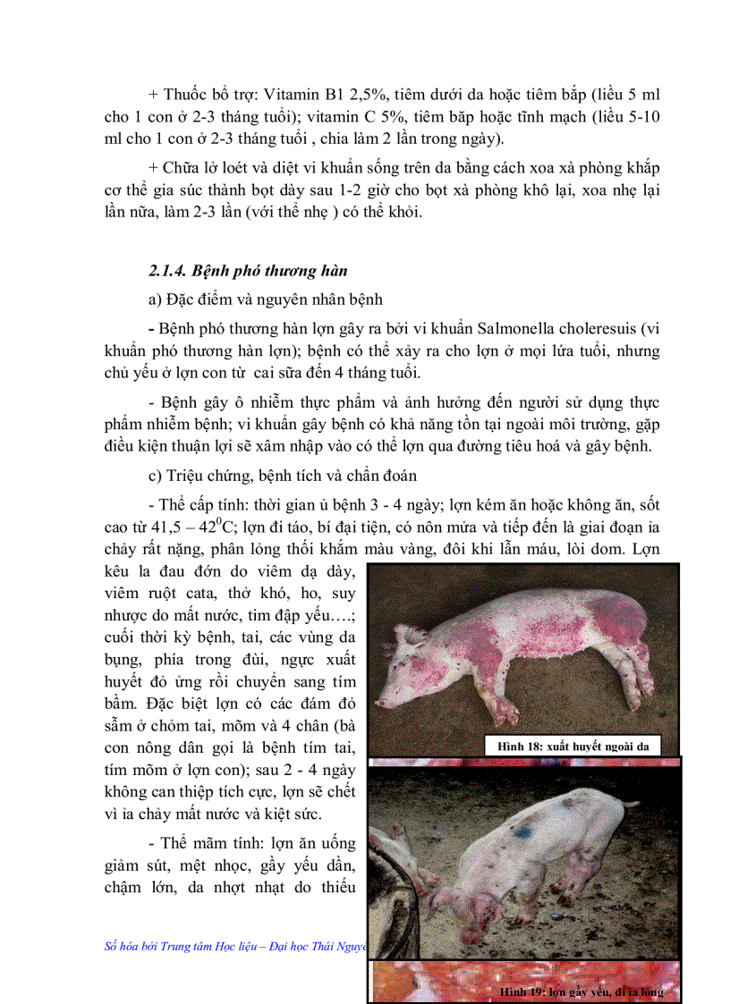 image for page Vệ sinh thú y và phòng bệnh trong chăn nuôi lợn