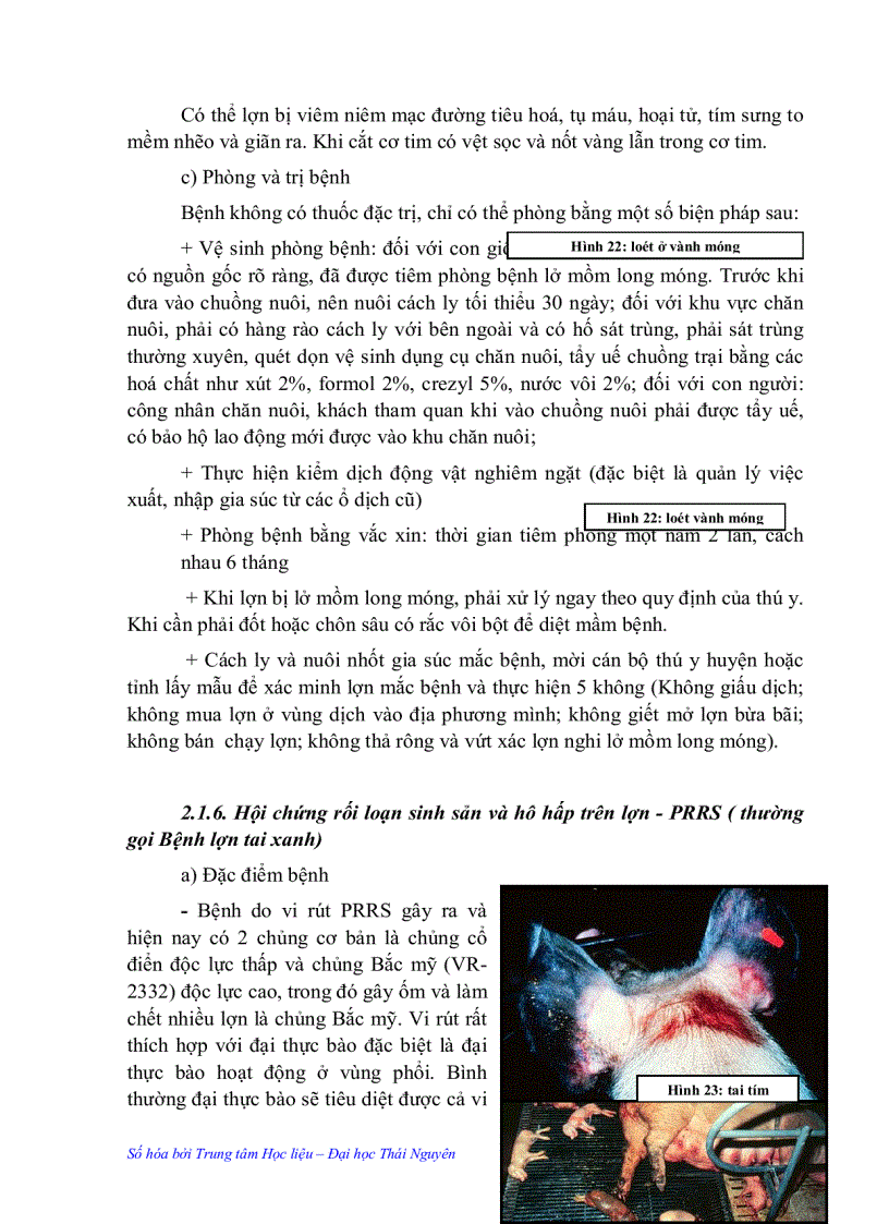 image for page Vệ sinh thú y và phòng bệnh trong chăn nuôi lợn