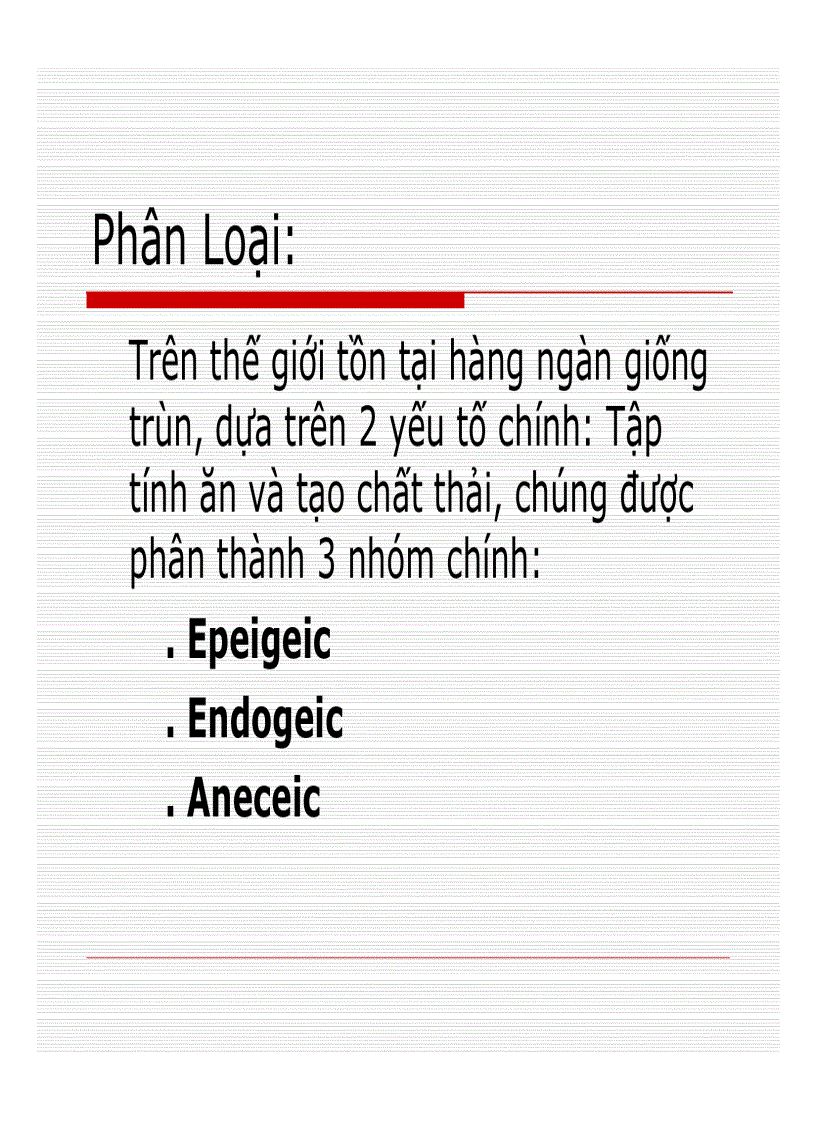 image for page Kỹ thuật nuôi Trùn quế Giới Thiệu Về Trùn Quế
