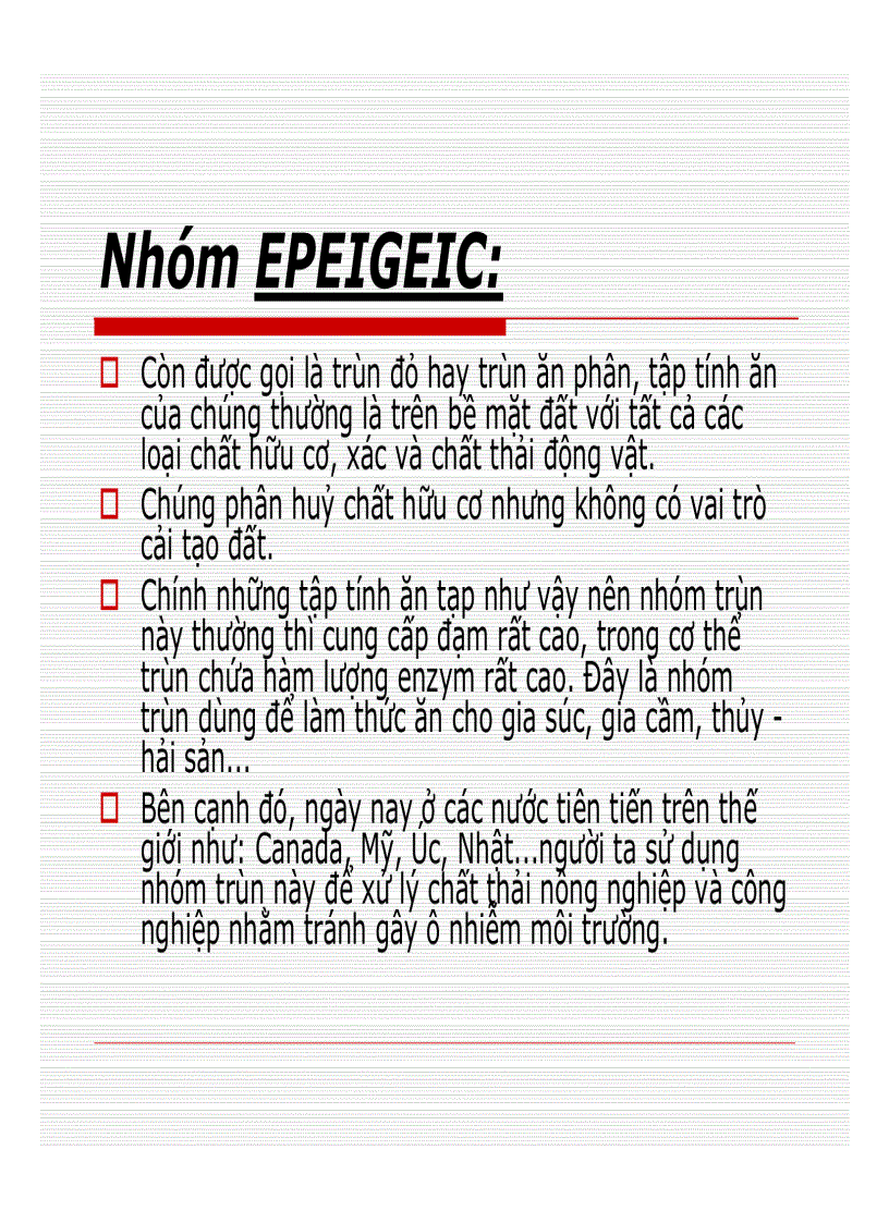 image for page Kỹ thuật nuôi Trùn quế Giới Thiệu Về Trùn Quế