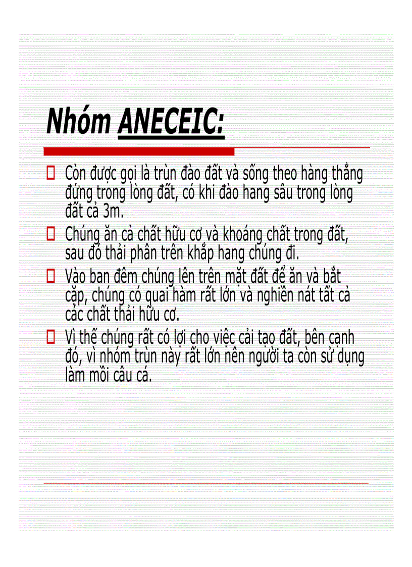 image for page Kỹ thuật nuôi Trùn quế Giới Thiệu Về Trùn Quế