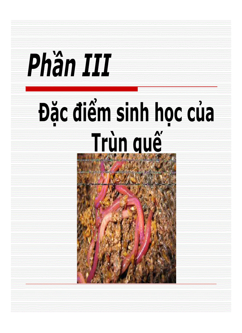 image for page Đặc điểm sinh học của Trùn quế