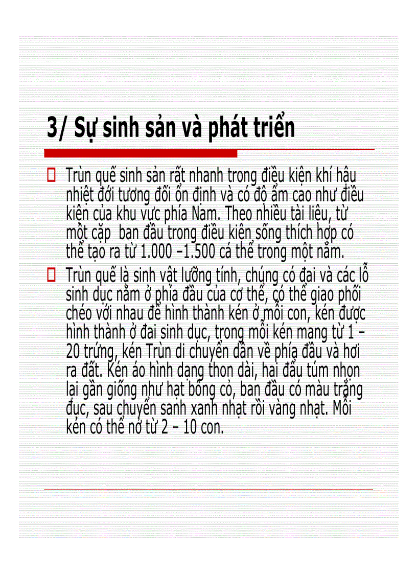 image for page Đặc điểm sinh học của Trùn quế