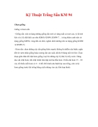 Kỹ Thuật Trồng Sắn KM 94