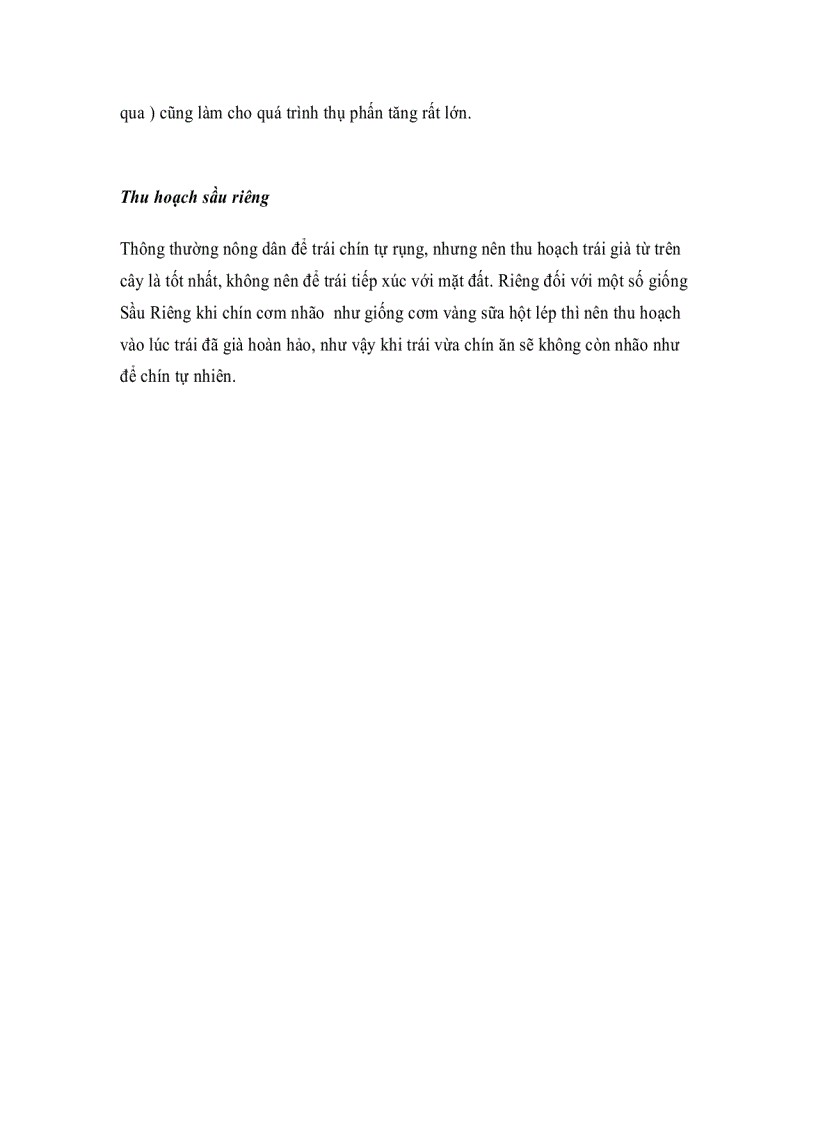 image for page Kỹ Thuật Trồng Sầu Riêng