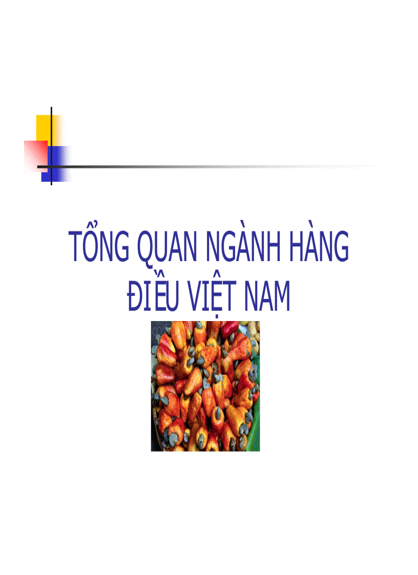 image for page Năng lực cạnh tranh của ngành điều việt nam
