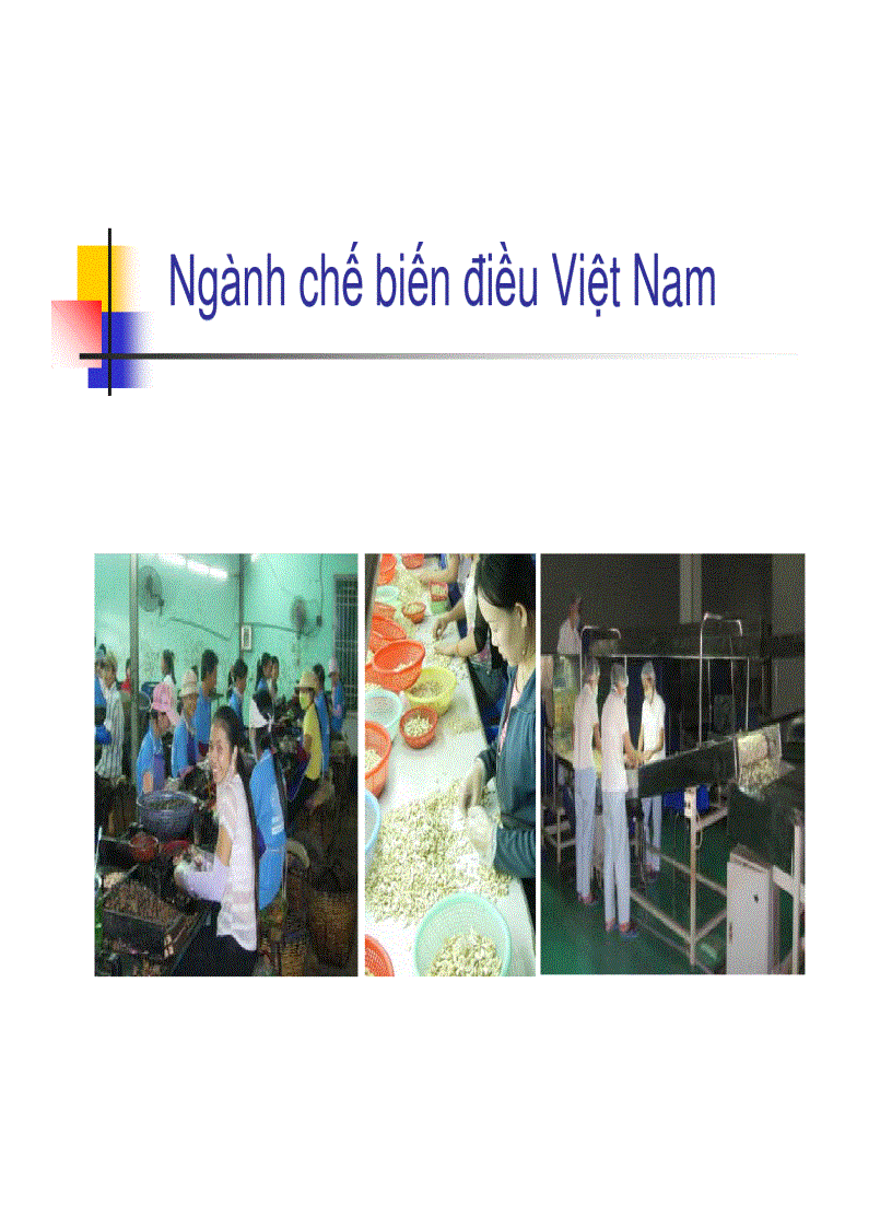 image for page Năng lực cạnh tranh của ngành điều việt nam