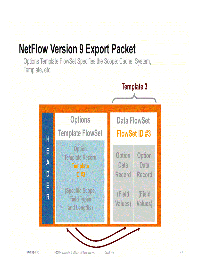 image for page Advanced NetFlow