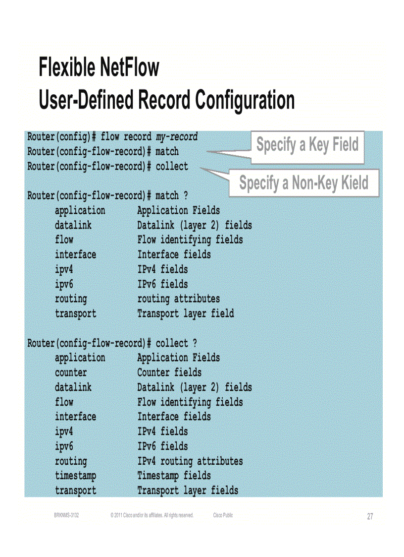 image for page Advanced NetFlow